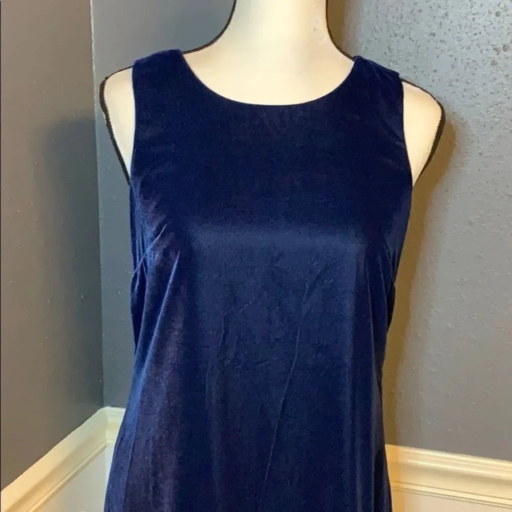 J Crew velvet ruffle hem tank dress